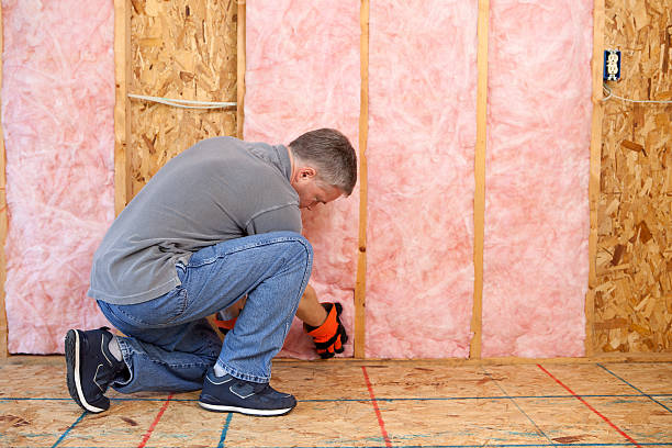 Best Insulation Materials and Products in Georgetown, SC